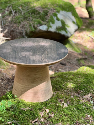 Konferenčný stôl TINT CHAMPIGNON